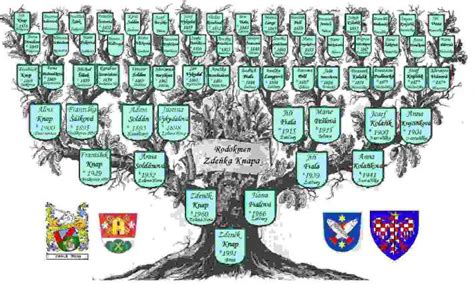 Genealogický strom rodu Užovičovcov