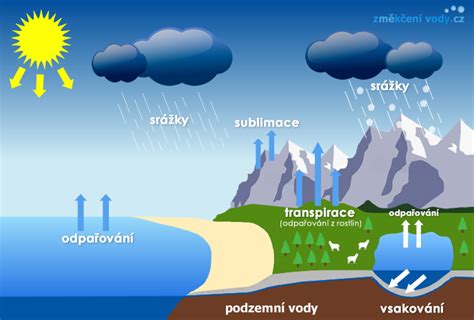 Proces vzniku rašeliny v prírode