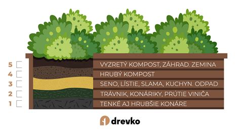 Rastliny pestované vo vyvýšenom záhone