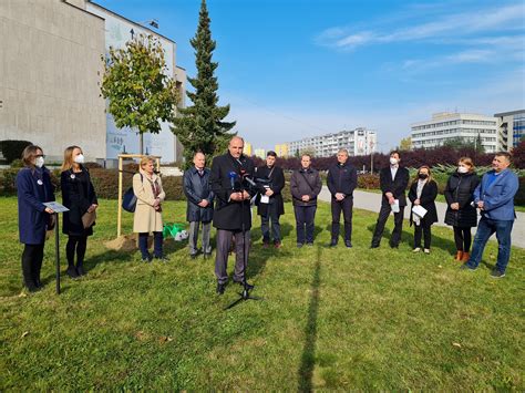 Zóna mestskej zelene na ulici Rastislavova v Košiciach