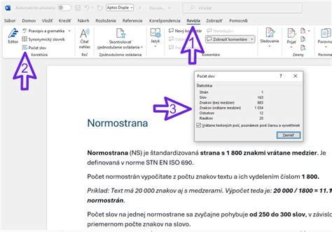 Schéma normostrany s vyznačenými okrajmi a počtom znakov
