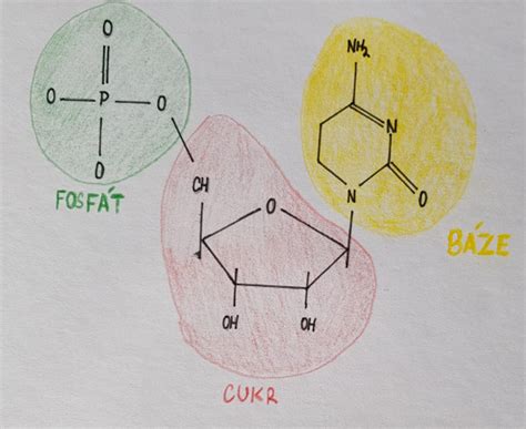 Chemická štruktúra silikónových a fluorokarbónových polymérov