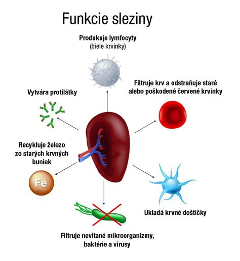 Infografika - funkcie teleskopickej stierky