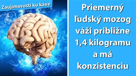 Ľudský mozog pod vplyvom stresu a tlaku