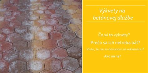 Prírodné výkvety na betónovej dlažbe