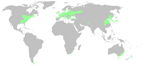 Mapa rozšírenia ihličnatých a listnatých drevín v Európe