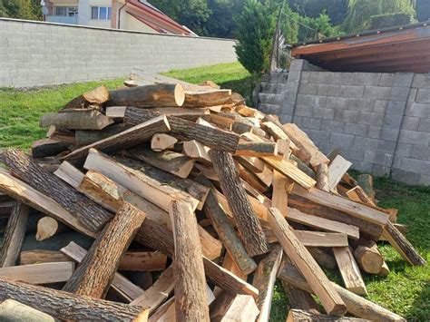 História a význam palivového dreva