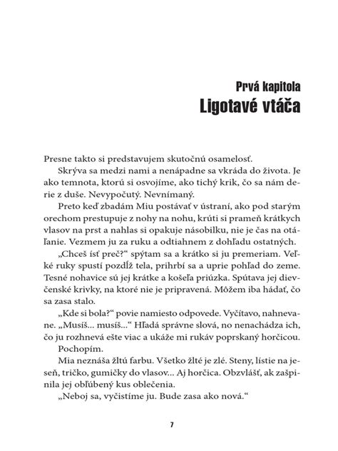 Ukážka nivelačného systému s klinmi a sponami