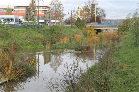 Znečistenie brehov Mlynského náhonu odpadom