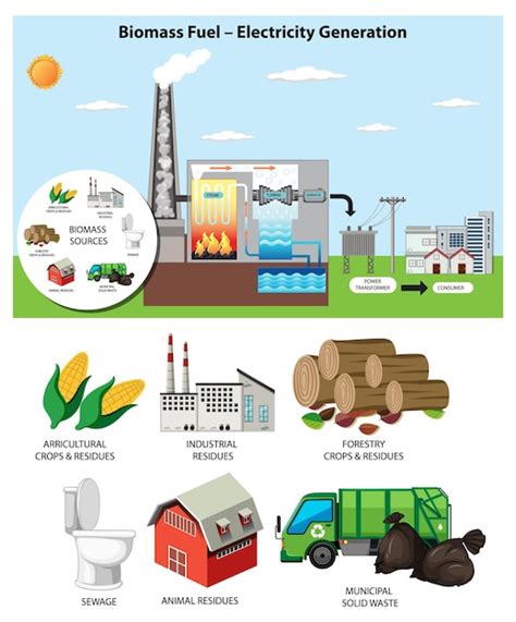 Schéma energetického využitia biomasy