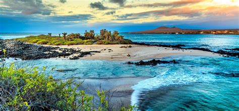 Galapágy - korytnačka