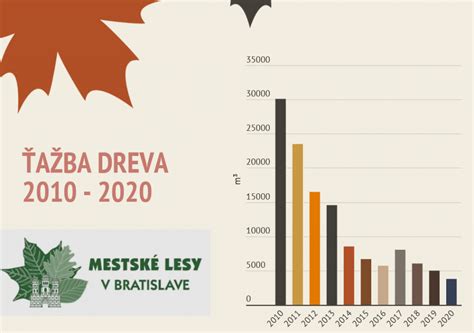 Infografika: princíp dvojstupňového spaľovania dreva