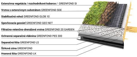 Extenzívna zelená strecha s nízkou vegetáciou