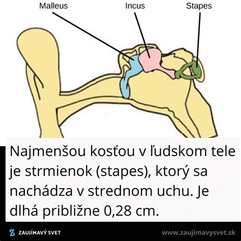 Schéma použitia strmienok v stĺpe