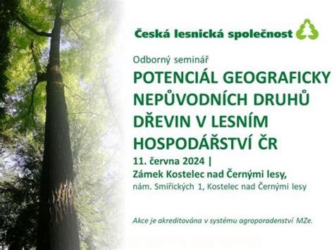 porovnanie rôznych druhov drevín a ich textúr