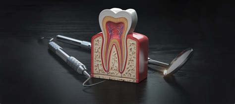 3D model zuba na obrazovke počítača CEREC