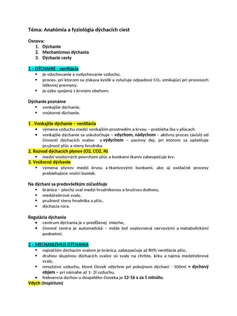 Ilustrácia dýchacích ciest