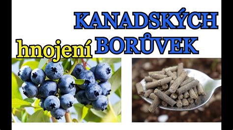 Schéma dvojstupňového spaľovania v kanadských kachliach
