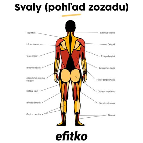 Aplikácia teplého obkladu na stuhnuté svaly chrbta