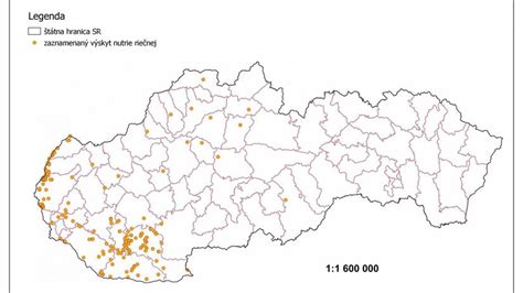 Mapa Starej Ľubovne s vyznačenými úsekmi určenými na asfaltovanie