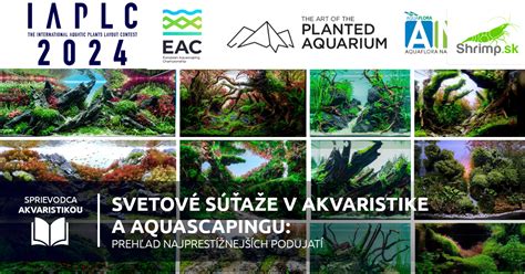 Vizualizácia pravidiel zlatého rezu a tretín v aquascapingu