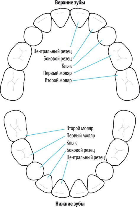 Schéma kompletnej rekonštrukcie chrupu