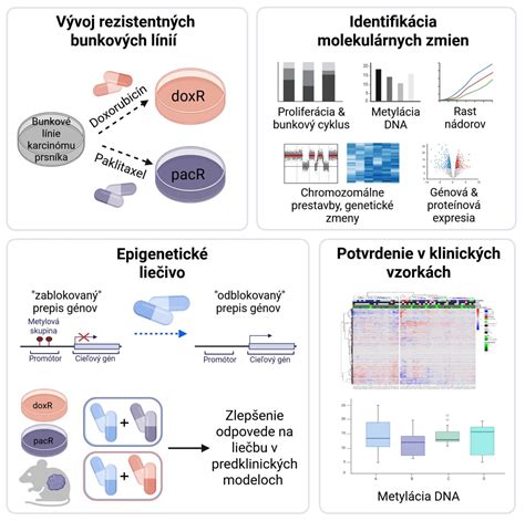 Schéma ultrazvukovej fragmentácie DNA pomocou kavitácie