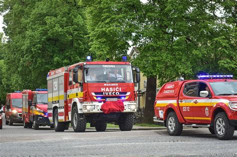 Ukážka osadenia skalničiek do medzier v kamennom múriku