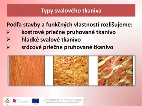 Infografika porovnania účinkov tepla a chladu na svalové tkanivo