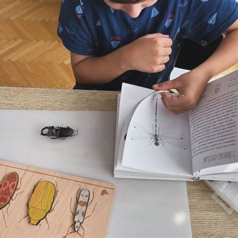 Vzdelávacie pomôcky z polystyrénu