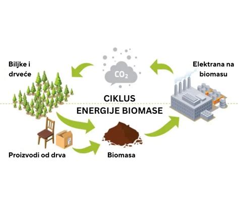 Inovácie v biomase
