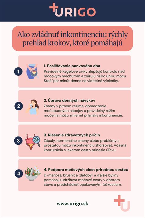 Infografika: Krok-za-krokom príprava povrchu pre aplikáciu penetrácie