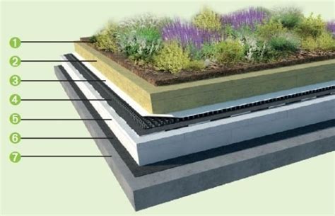 Schéma extenzívnej zelenej strechy ISOVER Flora