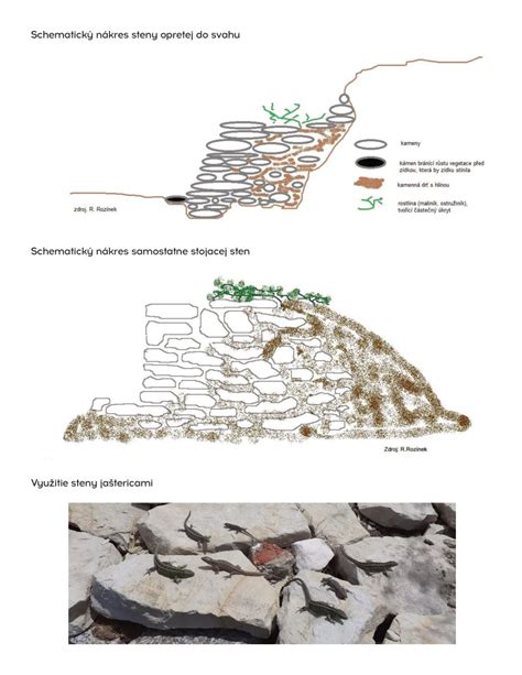 Ukážky rôznych druhov kameňov pre múriky