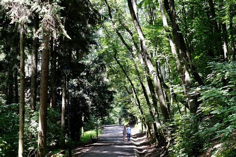 Fotografia Korza Horský park s utlmenou dopravou