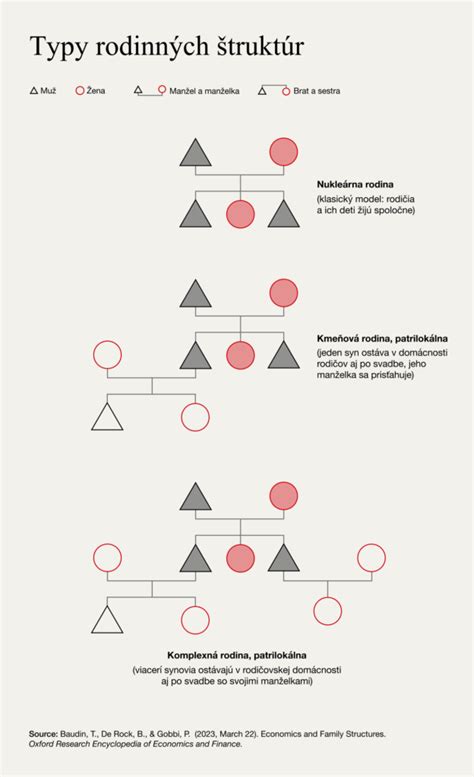 Infografika znázorňujúca rôzne typy rodinných štruktúr