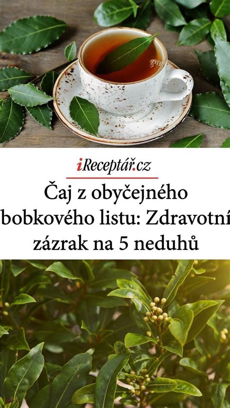 Príprava obkladu z lopúchového listu na koleno