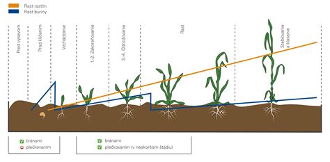 Ilustrácia rôznych ekologických metód na ničenie buriny