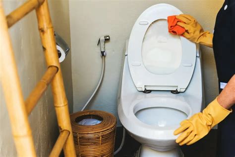 Čistenie vodného kameňa v nádrži WC