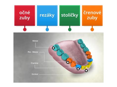 Druhy pílových kotúčov a ich zubov
