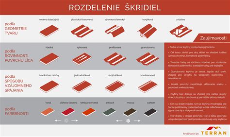 Infografika: Rozdelenie problémov a riešení laminátových podláh