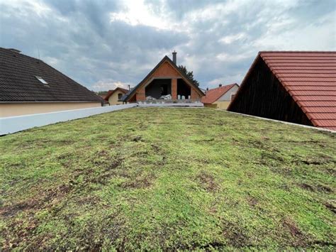 Intenzívna vegetačná strecha s trávnikom a kríkmi