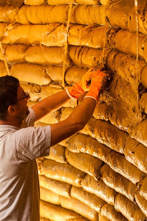 Ukážka hlinených omietok