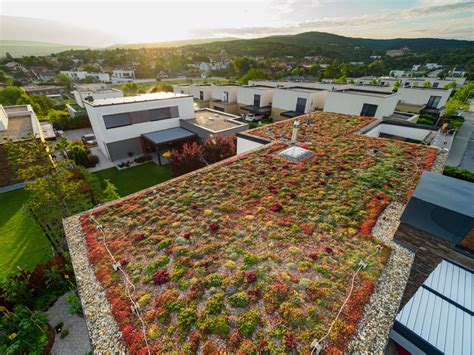 Príklad zelenej strechy