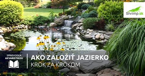 Záhradné jazierko s rozmanitou zeleňou na brehu
