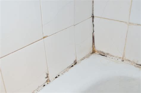 Dôsledky nedostatočnej hydroizolácie - plesne v kúpeľni