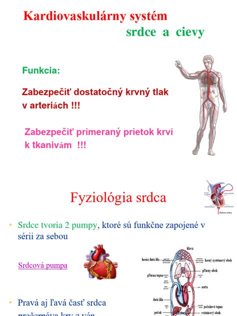 Vplyv ftalátov na reprodukčný systém