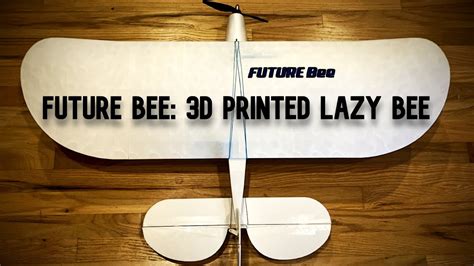 Schéma rozšíreného krídla Lazy Bee