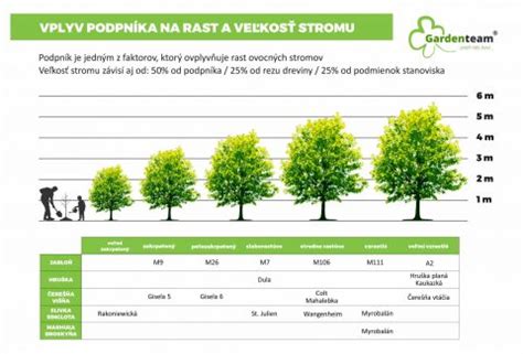 Porovnanie výšky strniska po kosení