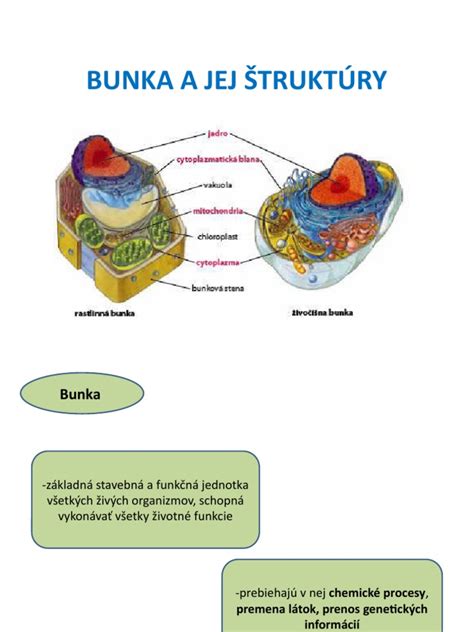 Detailné zobrazenie zrnitej štruktúry brúsneho kotúča